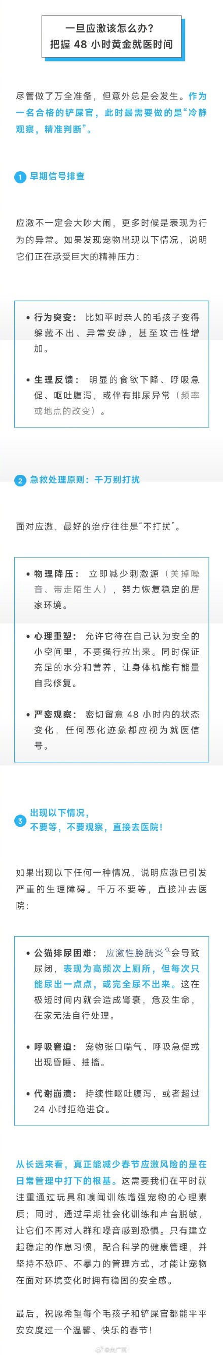 兽医提醒:小心烟花爆竹声吓坏宠物 兽医提醒:小心烟花爆竹声吓坏宠物
