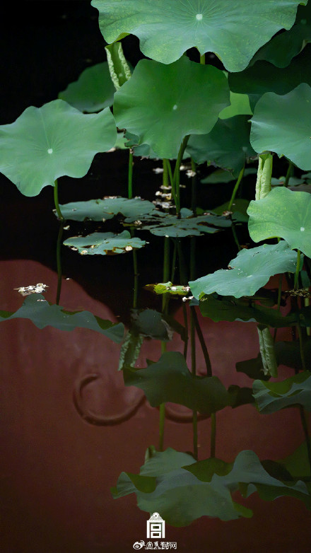 转发收藏！故宫四季壁纸上新