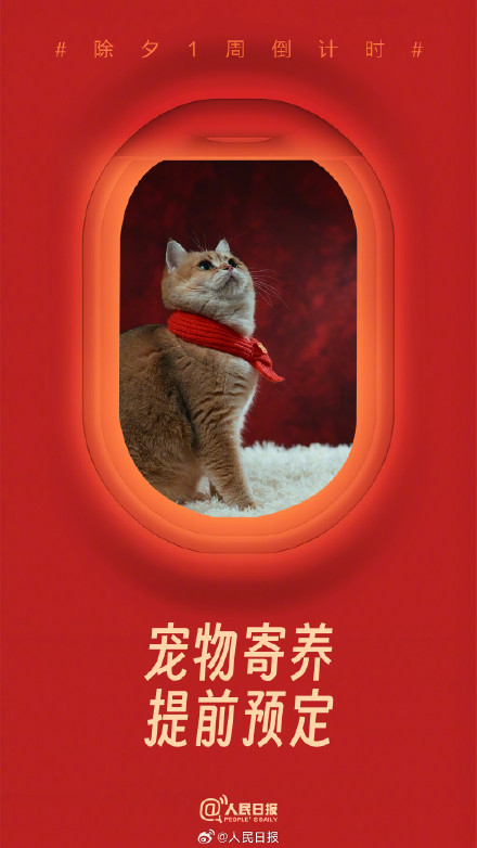 准备ing！除夕1周倒计时小贴士