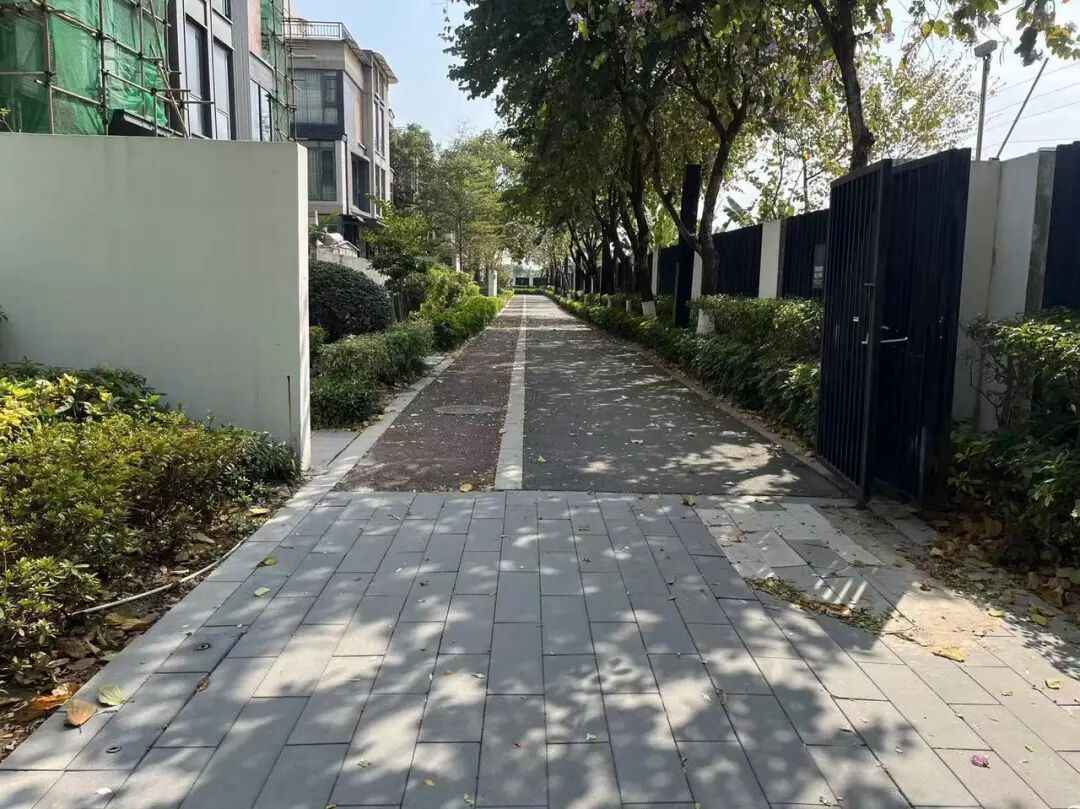 男子在小区投放老鼠药，致多只宠物犬中毒死亡，法院判了