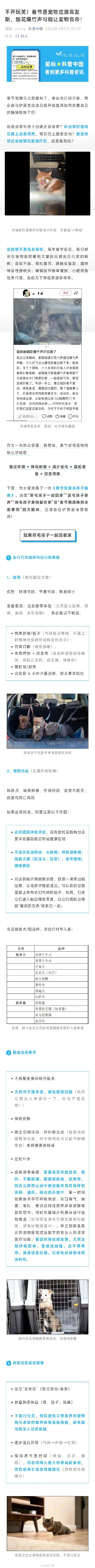 兽医提醒:小心烟花爆竹声吓坏宠物 兽医提醒:小心烟花爆竹声吓坏宠物