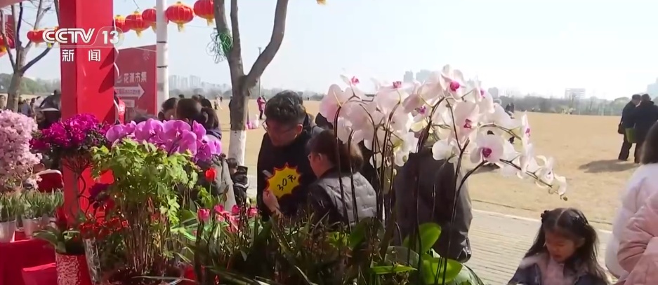 赏花灯、逛大集、买年货，“马”上迎春！各地“年货经济+非遗民俗”热力十足