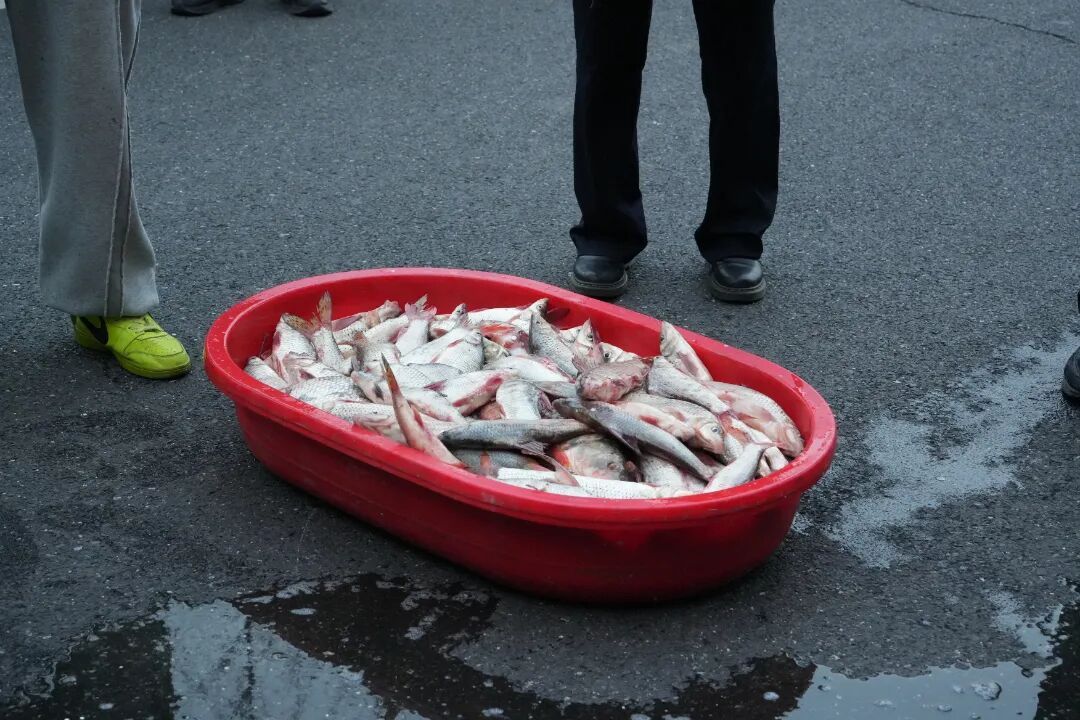 团灭!浙江这6人被抓,近期严打 团灭!浙江这6人被抓,近期严打