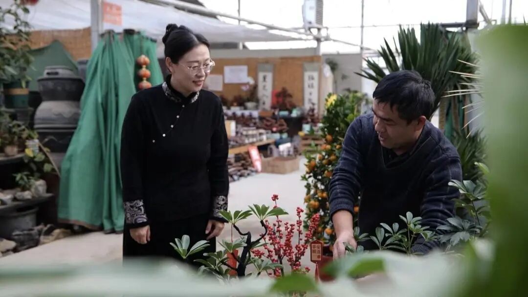 “年经济”燃动消费新热潮！石家庄春节消费市场多元而火热