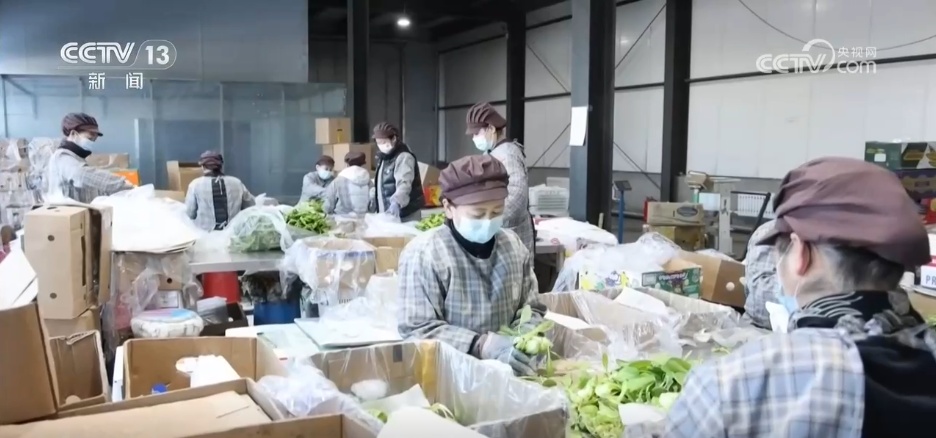 赏花灯、逛大集、买年货，“马”上迎春！各地“年货经济+非遗民俗”热力十足