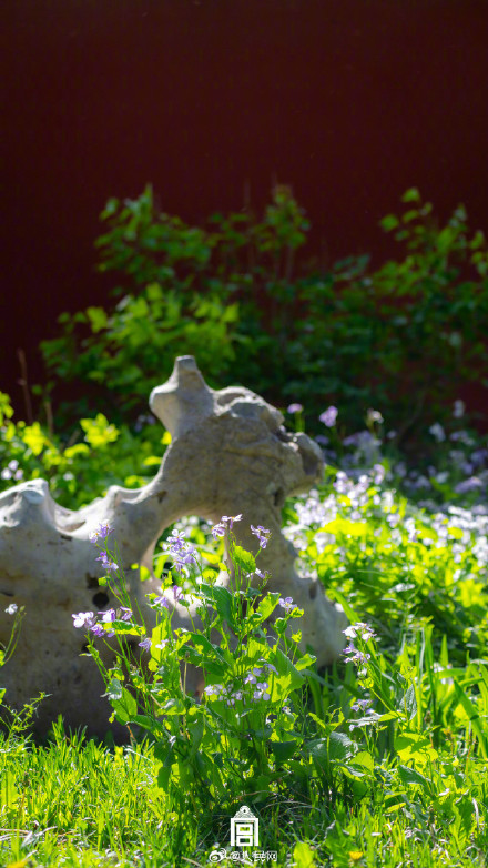 转发收藏！故宫四季壁纸上新