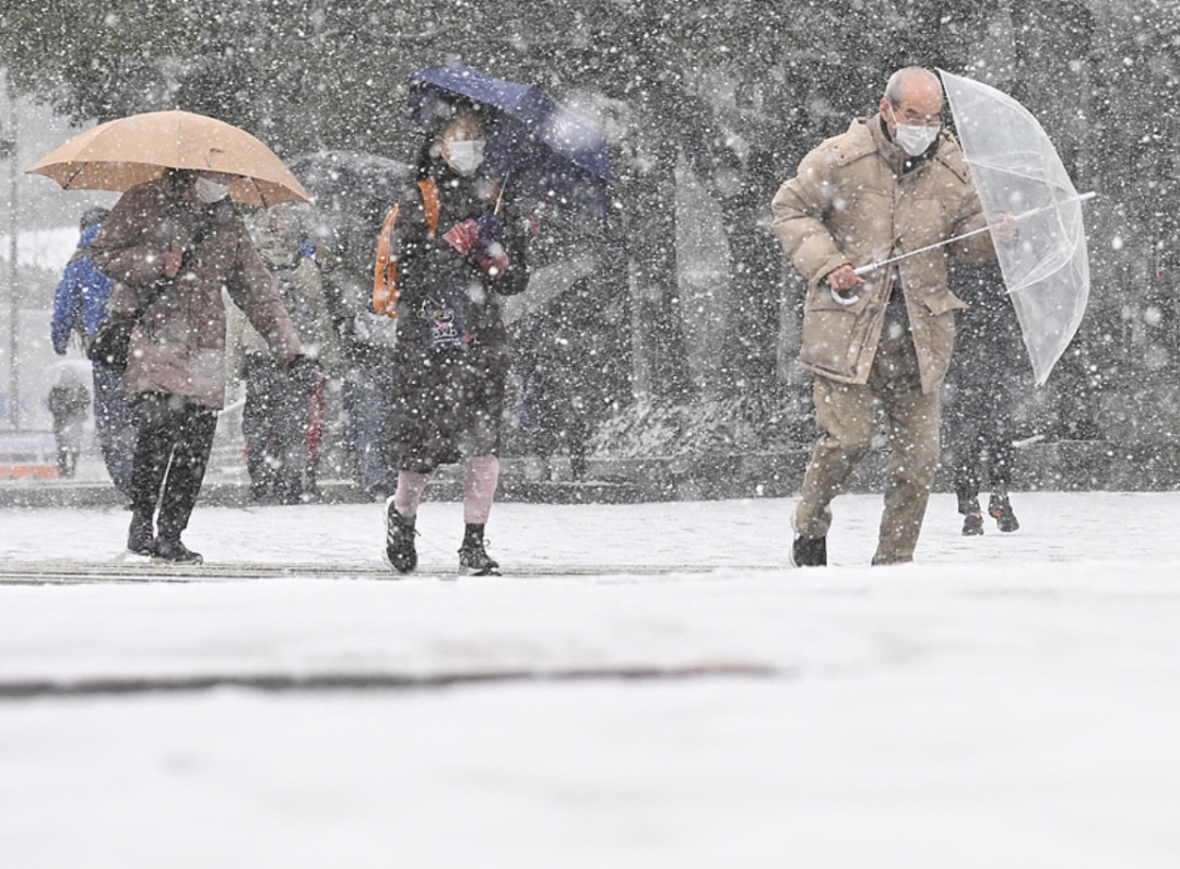 日本暴雪！美国暴雪！俄罗斯暴雪！“最热年份”遭遇“极端寒潮”？真相是→