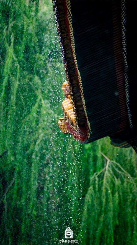 转发收藏！故宫四季壁纸上新