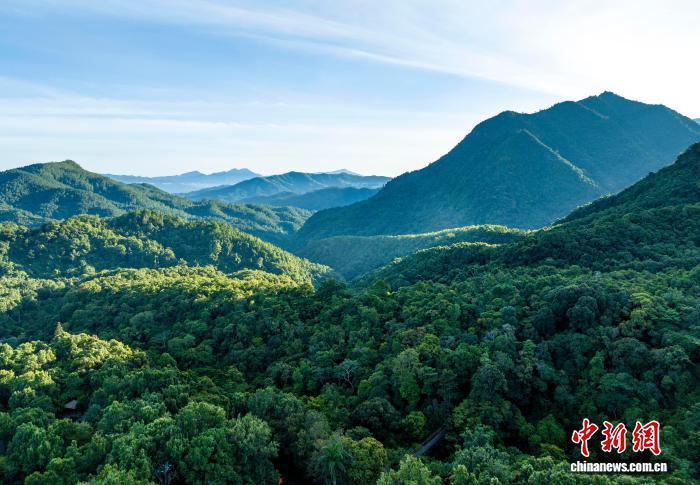 海南进入森林防灭火关键期 多部门提升应急处置能力 海南进入森林防灭火关键期 多部门提升应急处置能力