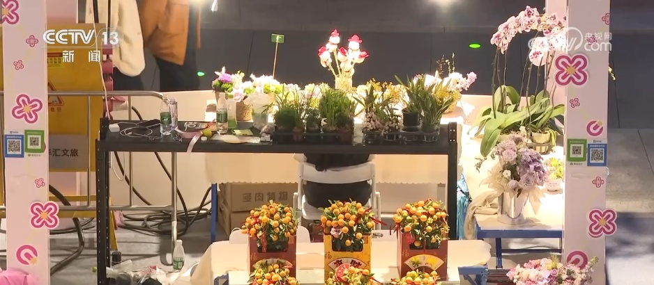 赏花灯、逛大集、买年货，“马”上迎春！各地“年货经济+非遗民俗”热力十足