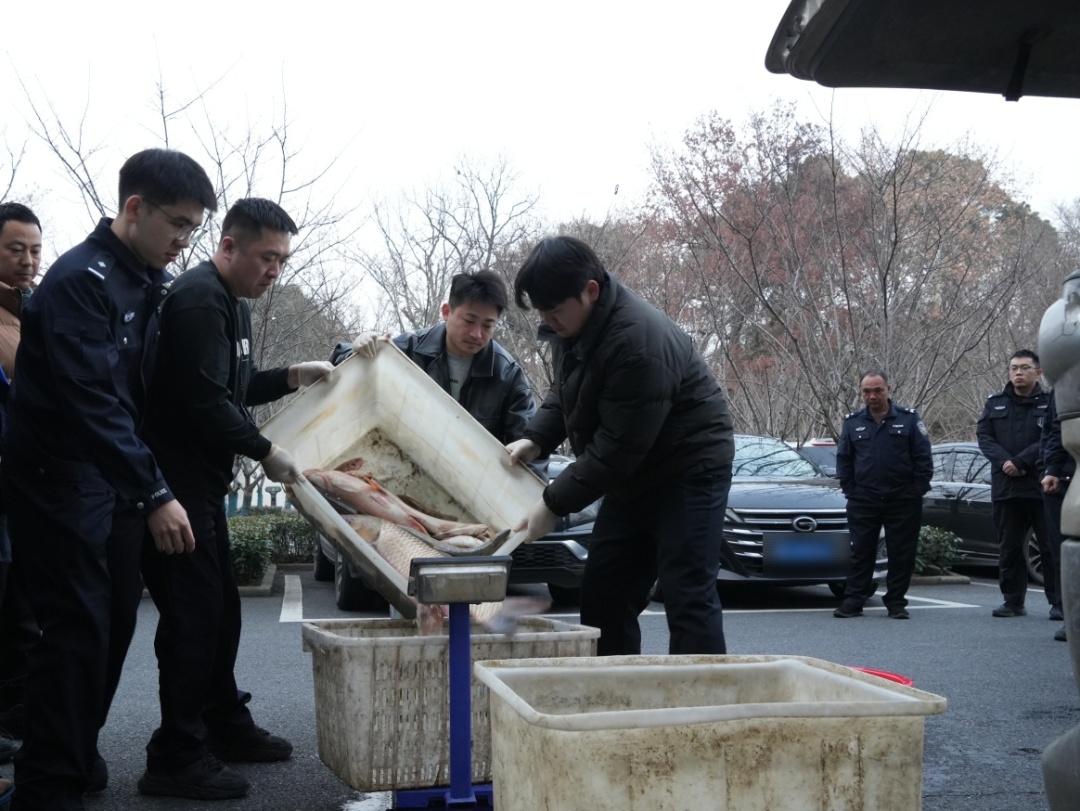 团灭!浙江这6人被抓,近期严打 团灭!浙江这6人被抓,近期严打