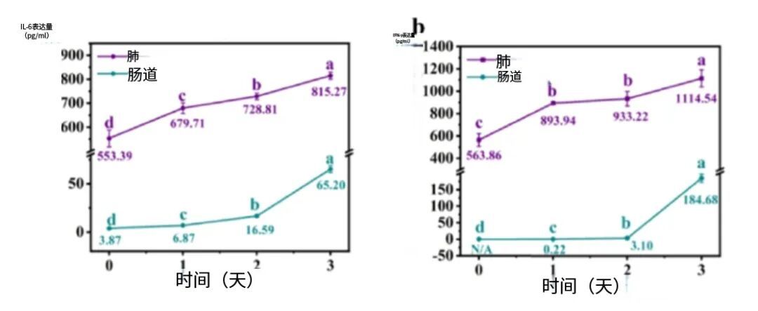 这个炒菜习惯，很可能让全家吃进翻倍致癌物，很多家庭每天都在犯