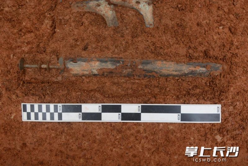 湖南望城考古再现大型古墓群,214座墓葬穿越西周至秦汉 湖南望城考古再现大型古墓群,214座墓葬穿越西周至秦汉