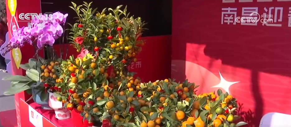 赏花灯、逛大集、买年货，“马”上迎春！各地“年货经济+非遗民俗”热力十足