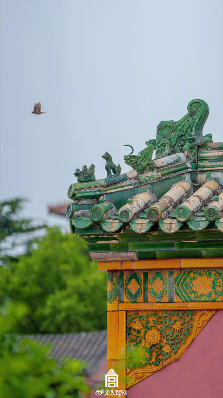 转发收藏！故宫四季壁纸上新