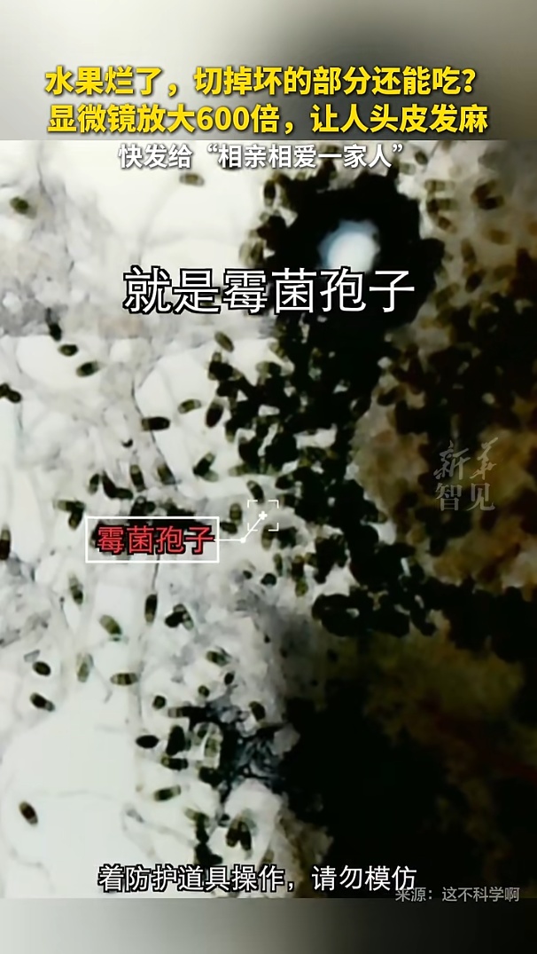 “几乎全部腐烂!”价格腰斩,口感却崩了!专家:这样吃毒性可达砒霜的68倍 “几乎全部腐烂!”价格腰斩,口感却崩了!专家:这样吃毒性可达砒霜的68倍