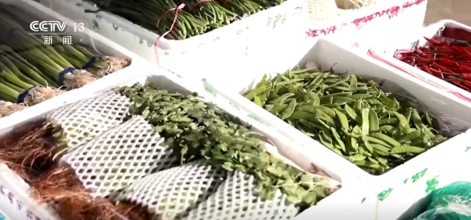 备年货、品美食、活力足,迎新春!各地“年味”上线氛围感已拉满 备年货、品美食、活力足,迎新春!各地“年味”上线氛围感已拉满