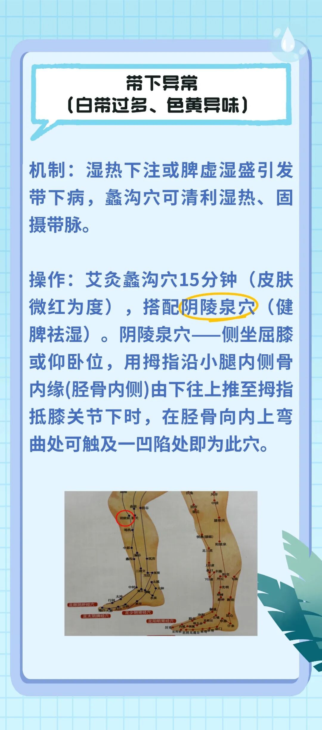 妇科不适别硬扛，日常按揉蠡沟穴，温和舒缓更舒心~