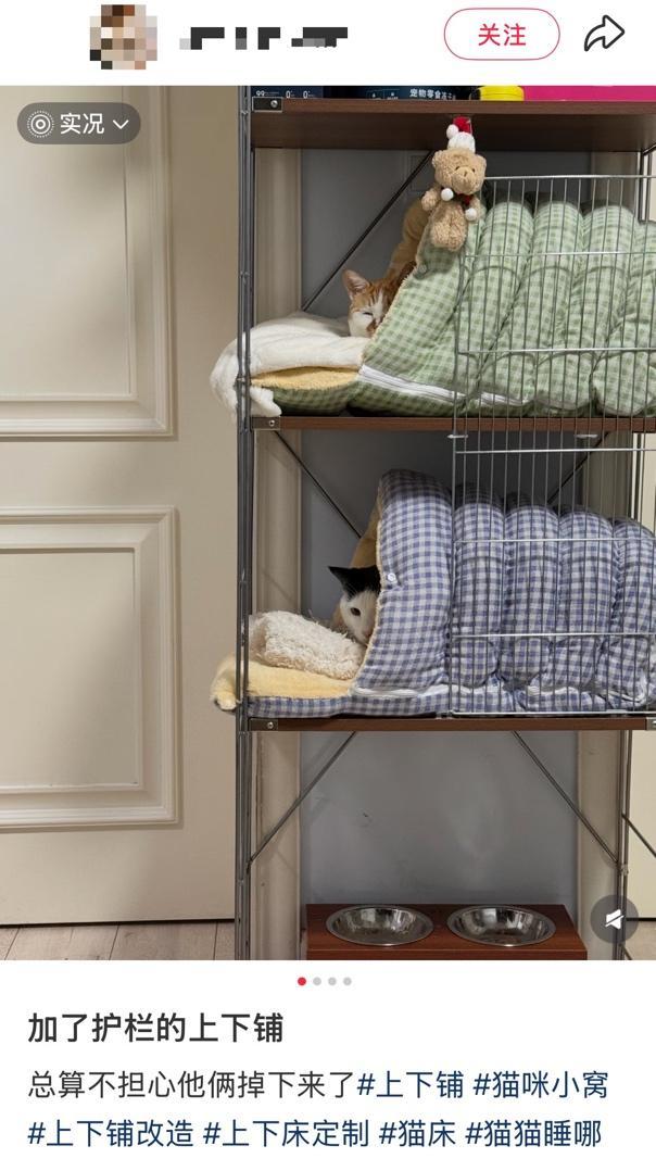 不开玩笑!春节是宠物应激高发期,烟花爆竹声可能让宠物丧命! 不开玩笑!春节是宠物应激高发期,烟花爆竹声可能让宠物丧命!