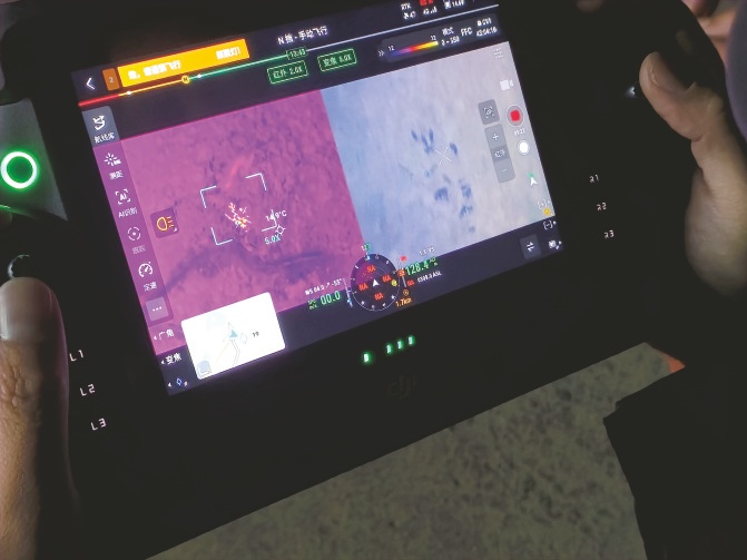 “硬核”寻羊！无人机进山，23只羊平安回家