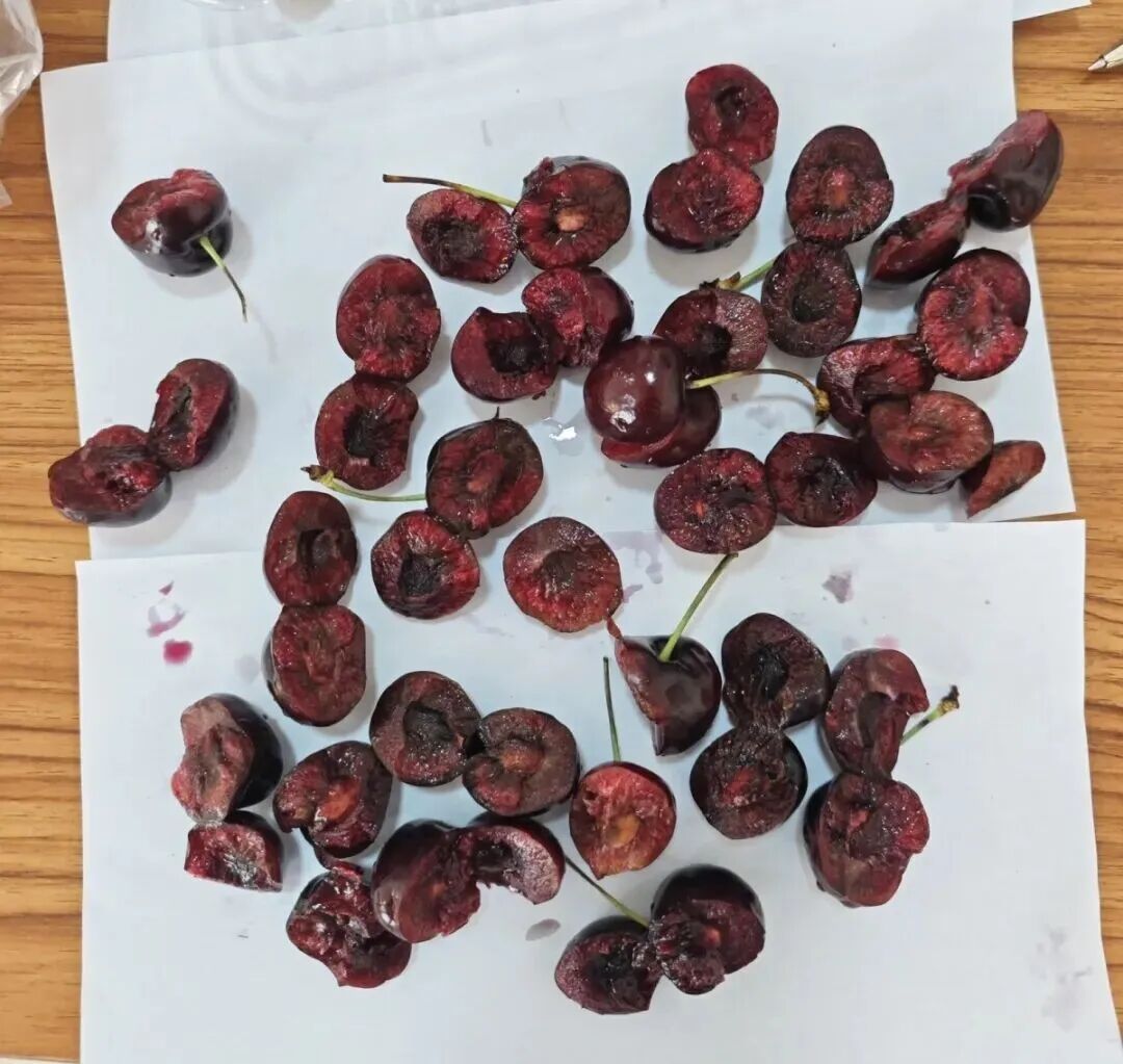 “几乎全部腐烂!”价格腰斩,口感却崩了!专家:这样吃毒性可达砒霜的68倍 “几乎全部腐烂!”价格腰斩,口感却崩了!专家:这样吃毒性可达砒霜的68倍