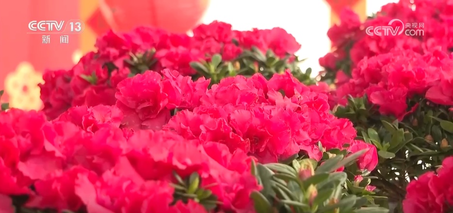 备年货、品美食、活力足,迎新春!各地“年味”上线氛围感已拉满 备年货、品美食、活力足,迎新春!各地“年味”上线氛围感已拉满