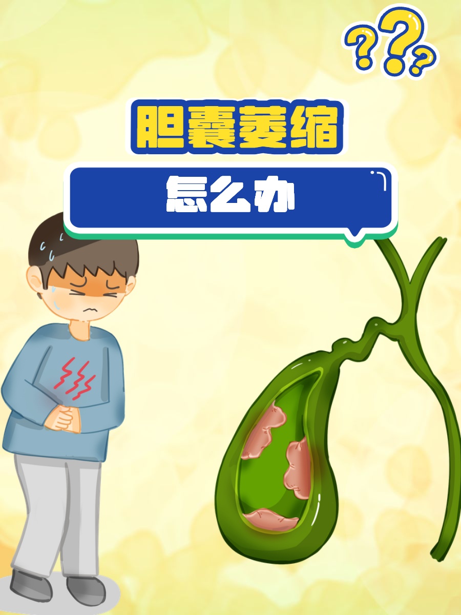 我的胆，去哪了？