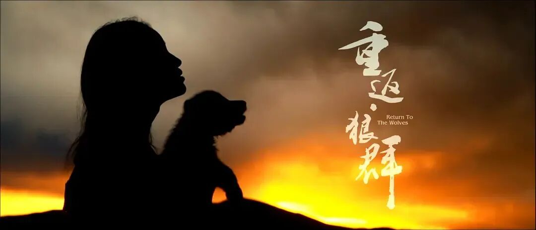 4部破千万，票补低至16.9！春节档预售开启，你的“精神食粮”定了吗？