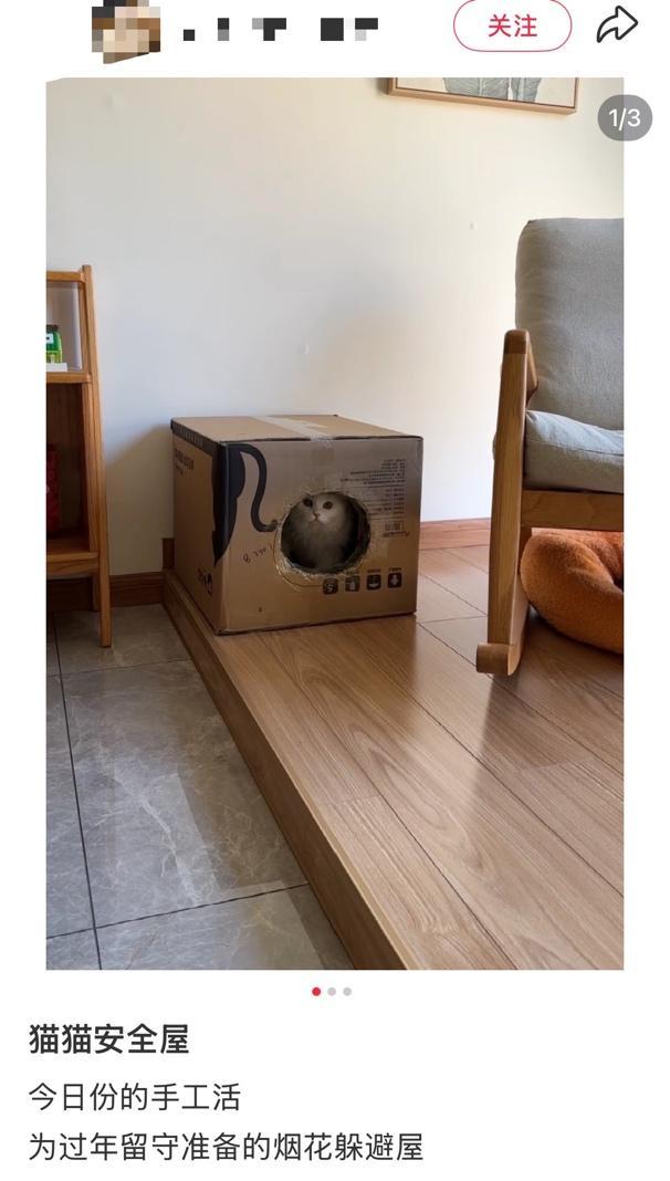 不开玩笑!春节是宠物应激高发期,烟花爆竹声可能让宠物丧命! 不开玩笑!春节是宠物应激高发期,烟花爆竹声可能让宠物丧命!