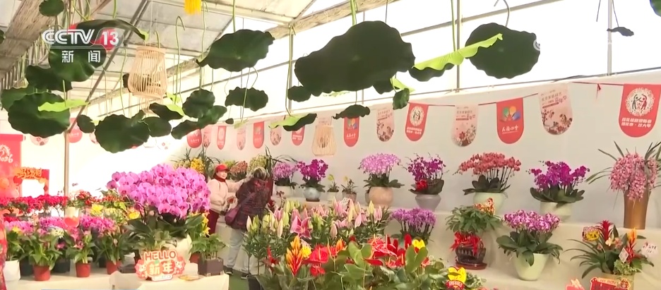 备年货、品美食、活力足,迎新春!各地“年味”上线氛围感已拉满 备年货、品美食、活力足,迎新春!各地“年味”上线氛围感已拉满