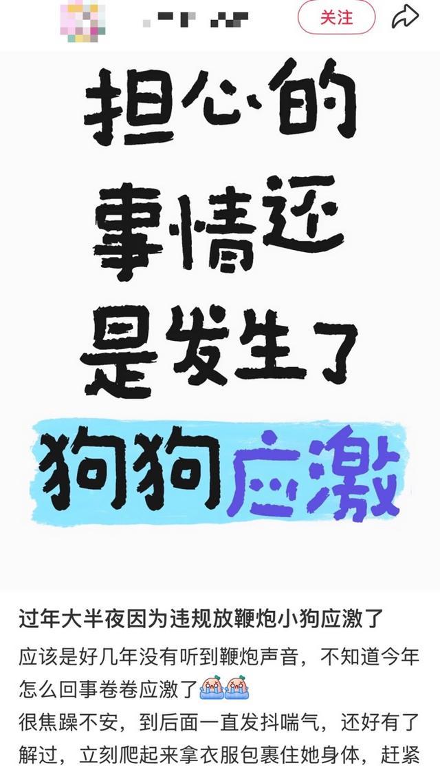 不开玩笑!春节是宠物应激高发期,烟花爆竹声可能让宠物丧命! 不开玩笑!春节是宠物应激高发期,烟花爆竹声可能让宠物丧命!
