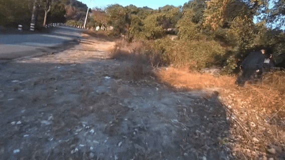 22.5万现金抱进陵园！警方17分钟生死时速截停，男子懵了：差点全没了！