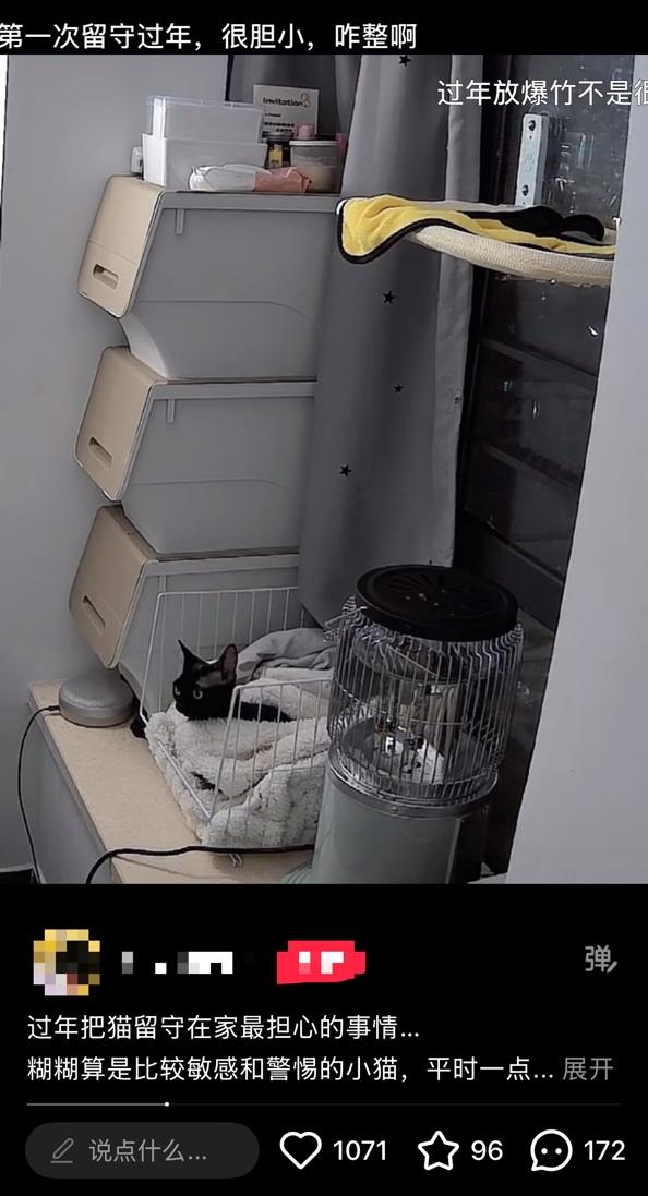 不开玩笑!春节是宠物应激高发期,烟花爆竹声可能让宠物丧命! 不开玩笑!春节是宠物应激高发期,烟花爆竹声可能让宠物丧命!