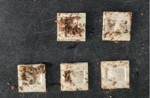 曝光:致癌物超标3倍!家里有这类杯子的赶紧扔掉 曝光:致癌物超标3倍!家里有这类杯子的赶紧扔掉