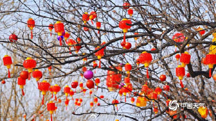 北京过年氛围已经提前拉满