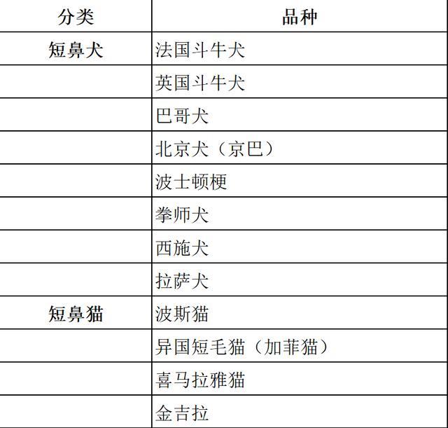 不开玩笑!春节是宠物应激高发期,烟花爆竹声可能让宠物丧命! 不开玩笑!春节是宠物应激高发期,烟花爆竹声可能让宠物丧命!