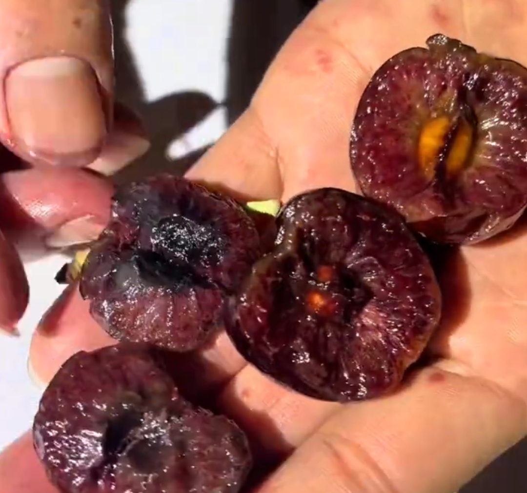 “几乎全部腐烂”，价格大跳水口感却崩了！网友：跟“开盲盒”一样