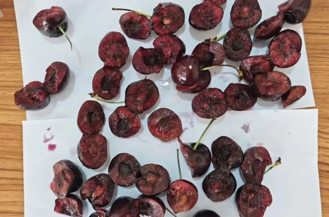 车厘子价格崩了口感也崩了？专家提醒！