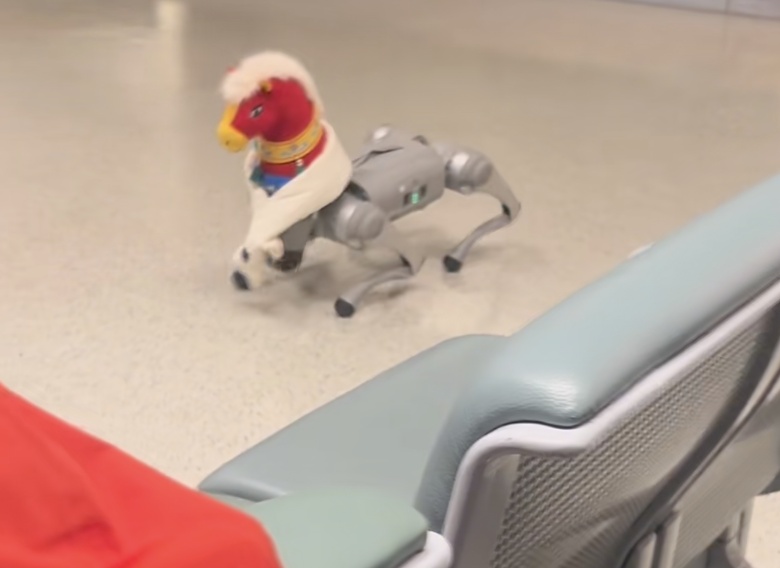 上海虹桥机场现“显眼包”，全网征名！网友：春晚的节目提前看到了....