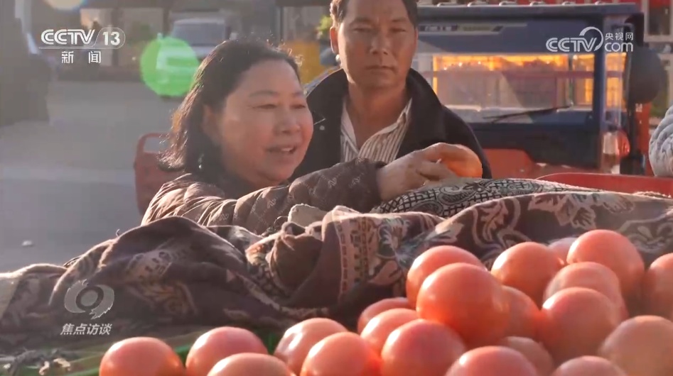 南菜北运丰富了“菜篮子” 鼓了“钱袋子”