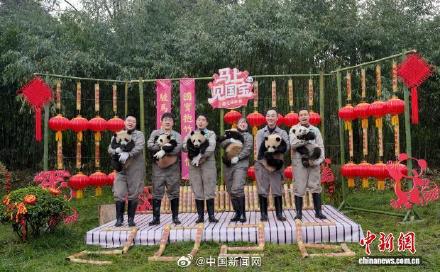 2025级大熊猫宝宝集体大拜年
