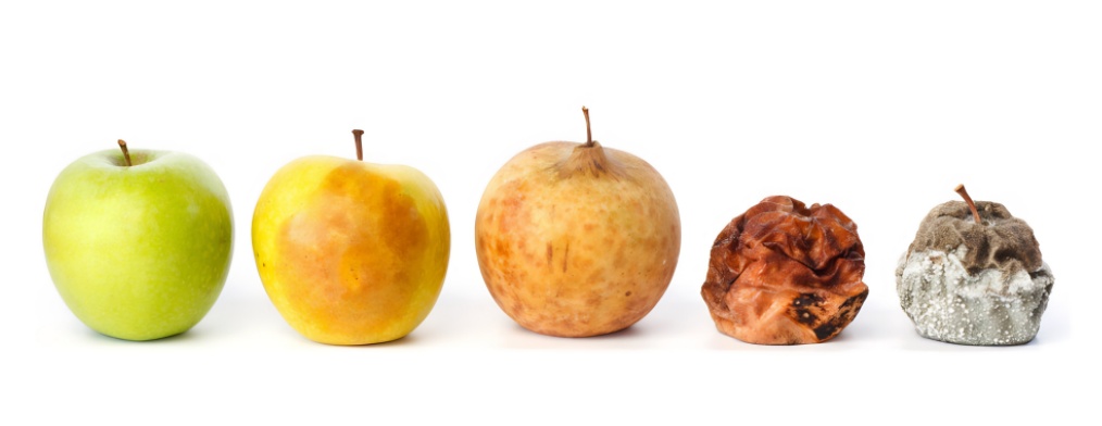 价格"腰斩",口感却崩了,专家提醒: 毒性可达砒霜的68倍 价格"腰斩",口感却崩了,专家提醒: 毒性可达砒霜的68倍