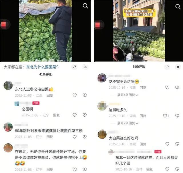 真的想问：北方人囤的几百斤白菜，吃完了吗？