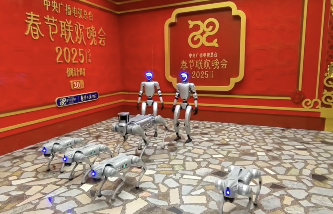 上海虹桥机场现“显眼包”，全网征名！网友：春晚的节目提前看到了....