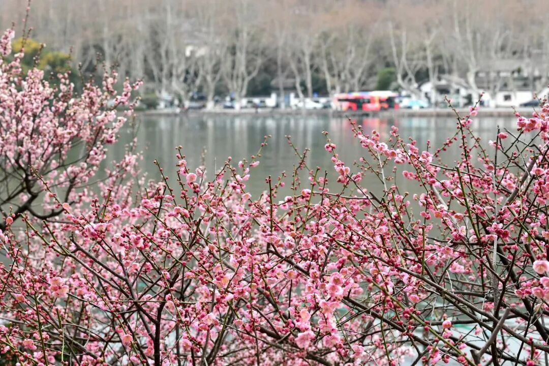 多地最高气温26℃！浙江人年前洗晒可以安排起来了！下周又有反转