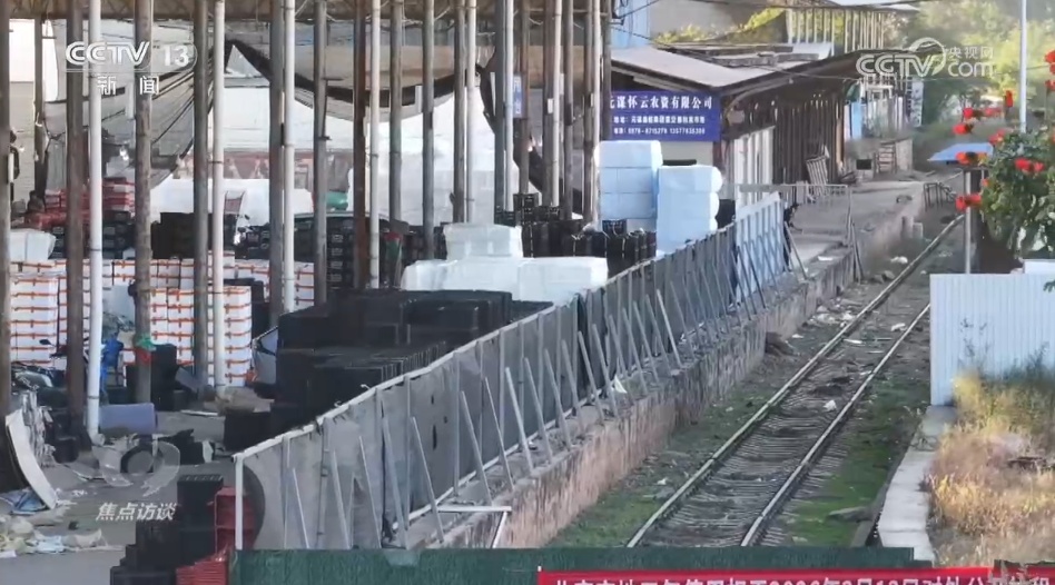 南菜北运丰富了“菜篮子” 鼓了“钱袋子”