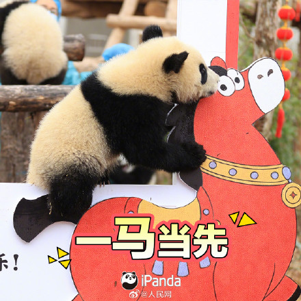拜年啦！一键保存熊猫宝宝新春表情包