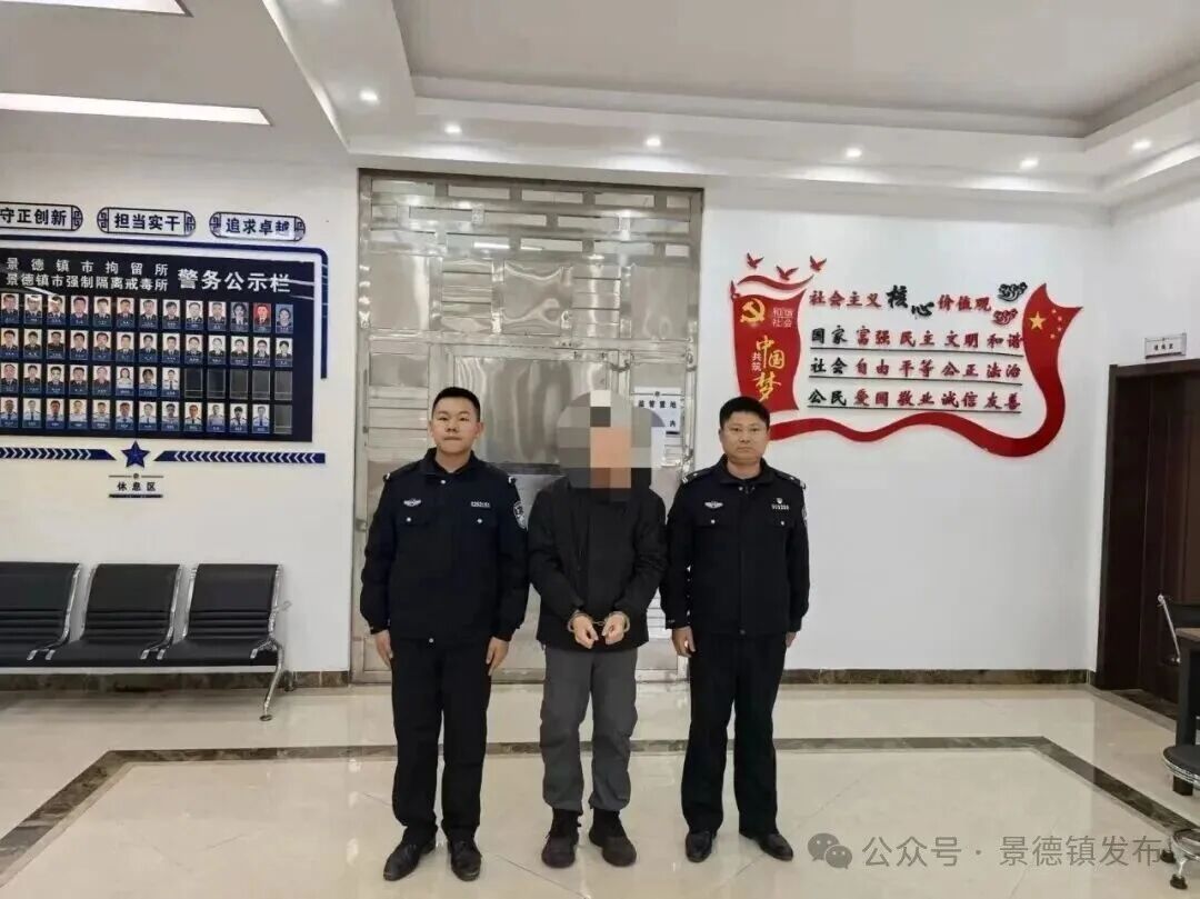 宠物犬未牵绳咬伤路人,主人被行拘! 宠物犬未牵绳咬伤路人,主人被行拘!