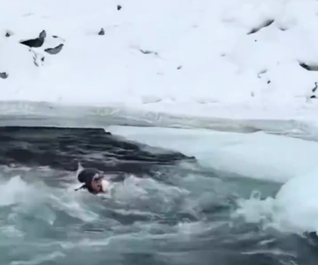 惊险一幕！母女落入冰河！涉事景区通报原因