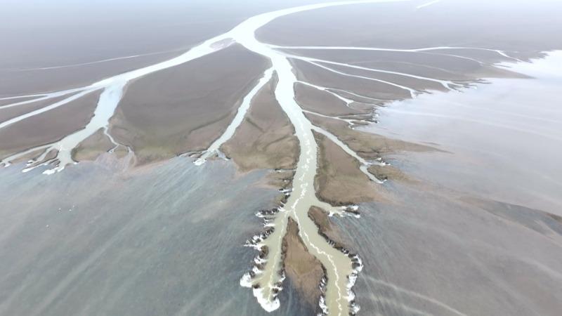 江西：鄱阳湖金溪湖水域现“大地之树”奇观